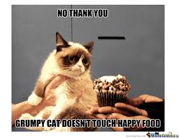 Top Hungry Cat Meme Images for Pinterest via Relatably.com