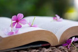 Image result for images spring and reading