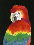 Image result for parrot painting on girl