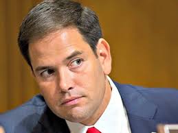 Image result for rubio