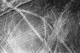 Image result for nazca lines lizard