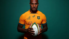 a Wallaby From Doubts to Triumph: The Resilient Wallaby who Overcame Challenges to Excel in Eddie