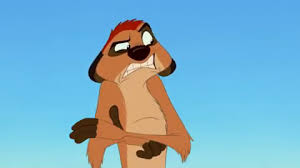 Image result for timon
