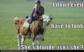 Blonde Memes | Kappit via Relatably.com