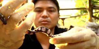 Doc Nielsen Donato and his team attempt to document on video whether these three snakes– the duhol matapang, the duhol basahan and the ... - 2013_02_12_09_41_08