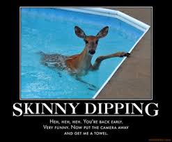 If you had a private pool, would you go skinny dipping? - Page 4 via Relatably.com