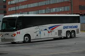 Image result for greyhound bus