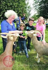 Sabine Sagel zeigt den Kindern, wie man die Ziegen füttert. - Bottrop - 1800053_web