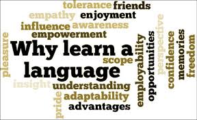 Word Cloud describing why one should learn a language 