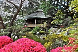 Resultado de imagem para jardins japoneses sakura