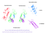 Struktur der proteine