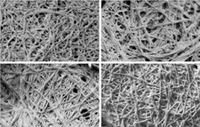 Image result for protein structure electron microscopy