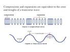 Transverse and Longitudinal Waves - HyperPhysics