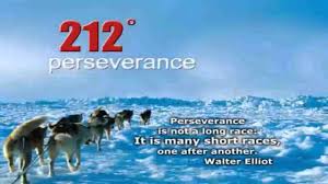 Image result for 212