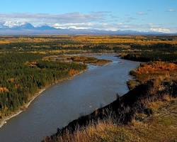 Gambar Fishing for salmon on the Copper River, WrangellSt. Elias National Park