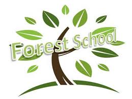 Image result for forest schools