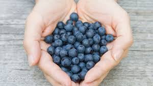 blueberry supplements