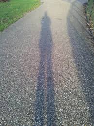 Image result for They cast their shadows beforehand.