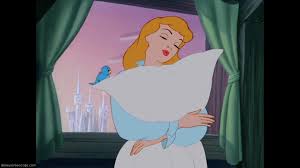 Image result for a dream is a wish cinderella