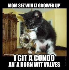 Internet Memes: LOL Cats, &#39;Goggies&#39; and yes, French Horns | Horn ... via Relatably.com