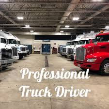 Professional Truck Driver
