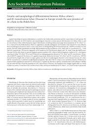 (PDF) Genetic and morphological differentiation between Melica ...