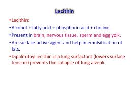 Image result for lecithin structure