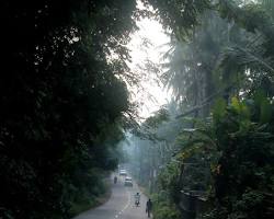 Image of Kundadri Hills Road