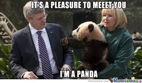 Polite Panda by wolfeyes - Meme Center via Relatably.com