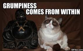 Funny-Grumpy-cat-meditation.jpg via Relatably.com