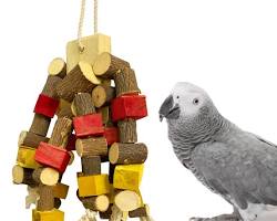 Wooden toys for birds