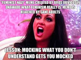 Feminist Nazi&quot; meme created by bros obviously unaware what ... via Relatably.com