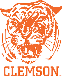 Image result for clemson tigers