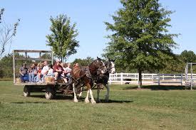 Image result for wagon ride