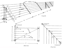 Affordable fencing to protect garden from wild life? - Homesteading Questions