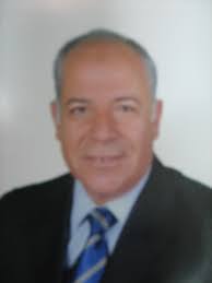 Prof. Mohamed Attia Mohamed Metwally - photo