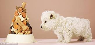 Τι αντίληψη υπάρχει σχετικά με τη διατροφή των σκύλων;
