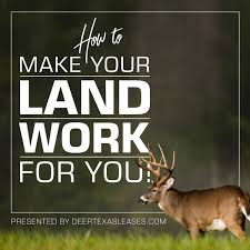 How To Make Your Land Work For You