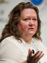 Family financial squabbles have done nothing to stop Gina Rinehart&#39;s relentless rise as the richest woman in Australia, and now the world. - 3883060-3x4-700x933