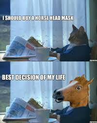 Cat Buys A Horse Head Mask | WeKnowMemes via Relatably.com