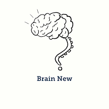 Brain New