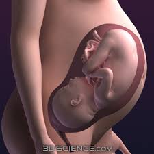 pregnancy disorders can sometimes be serious and lead to infertility