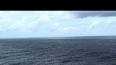 Video for "Narcondam Island" Andaman and Nicobar Islands, INDIA