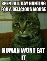 Sassy Cat on Pinterest | Cats, Cat Naps and Mice via Relatably.com