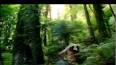 Video for "David Bellamy",    Naturalist