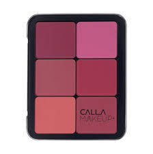 The Most Popular Face Essential Palette in Nice One Store! Get This Set at 70% Discount Now!