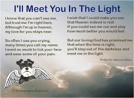 pet-loss-poem-meet-me-in-the-light-maureen-bauer.jpg via Relatably.com