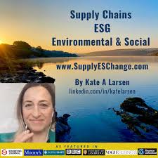 SupplyESChange Social Impact Insights