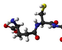 Image of Glutathione molecule