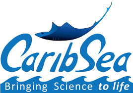 Image result for caribsea name